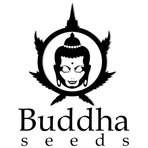 Buddha Seeds