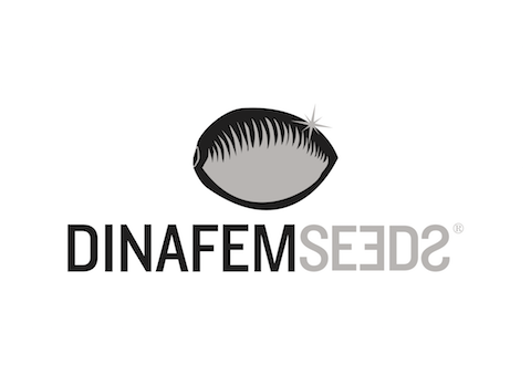 Dinafem Seeds